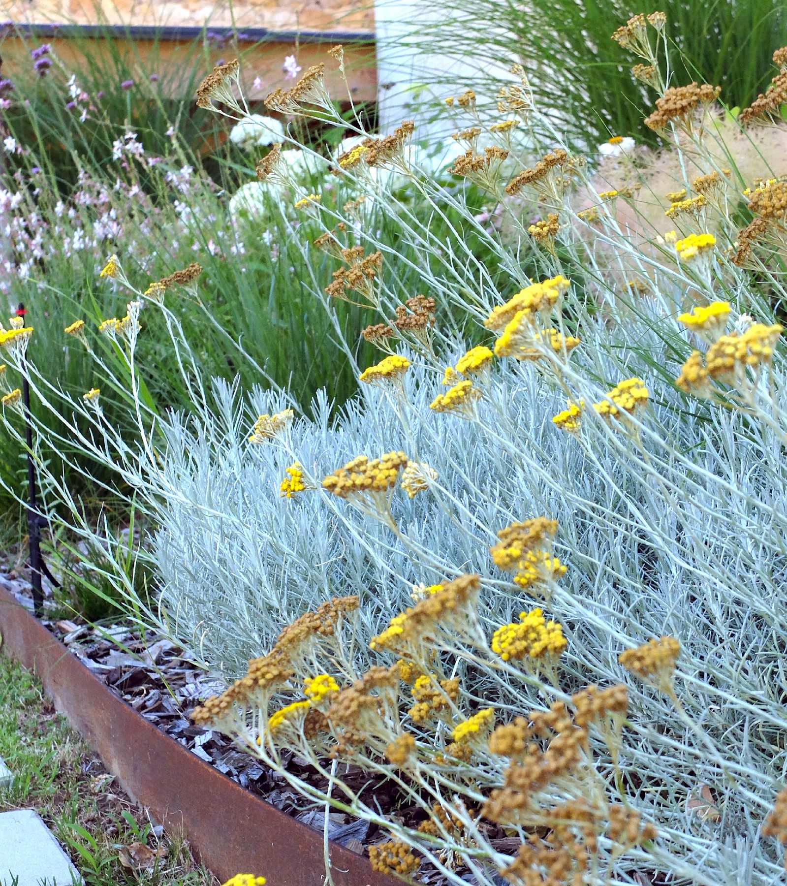 jardin-contemporain-saintdidieraumontdor-maisonsoge-25