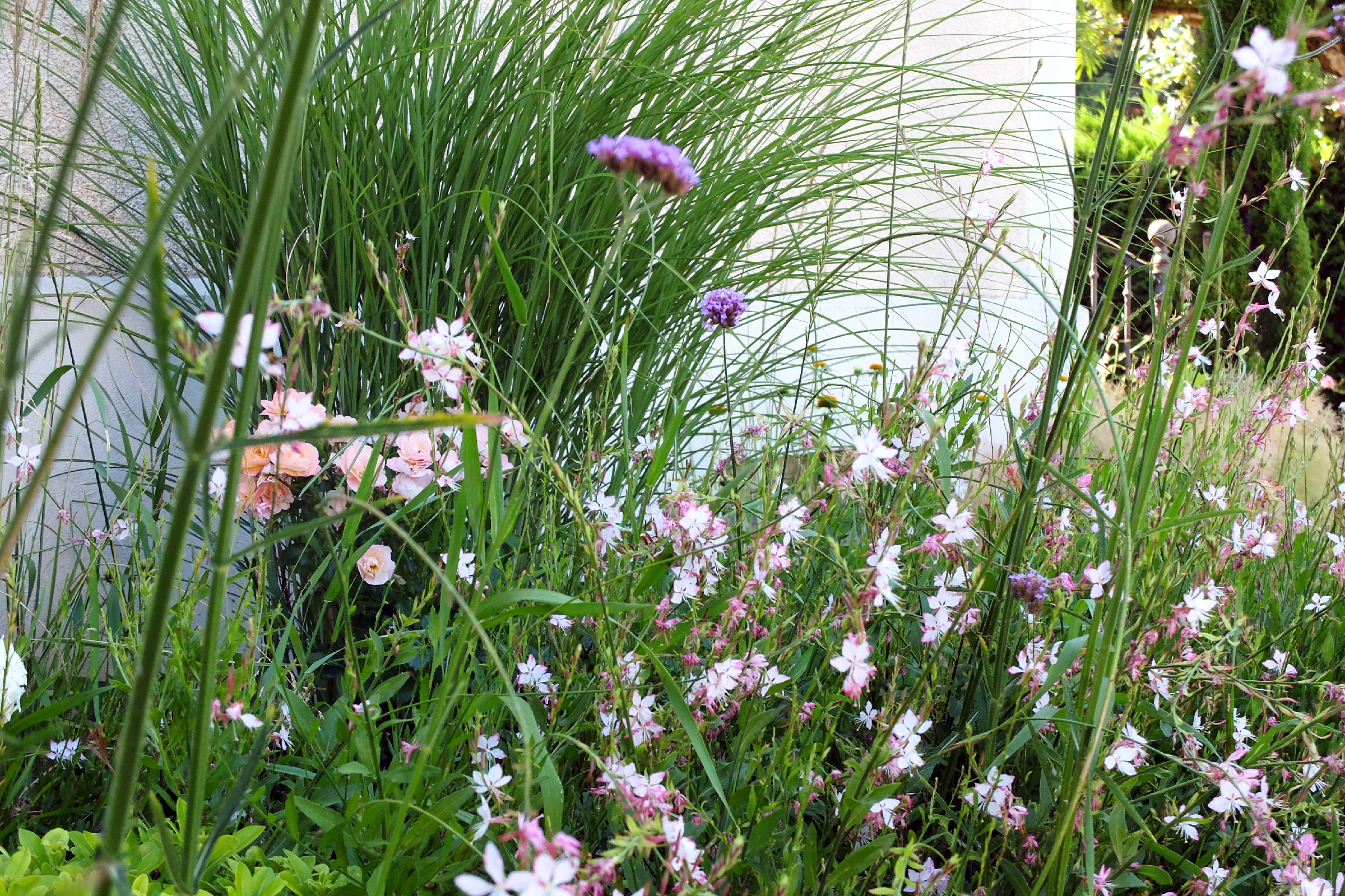 jardin-contemporain-saintdidieraumontdor-maisonsoge-28