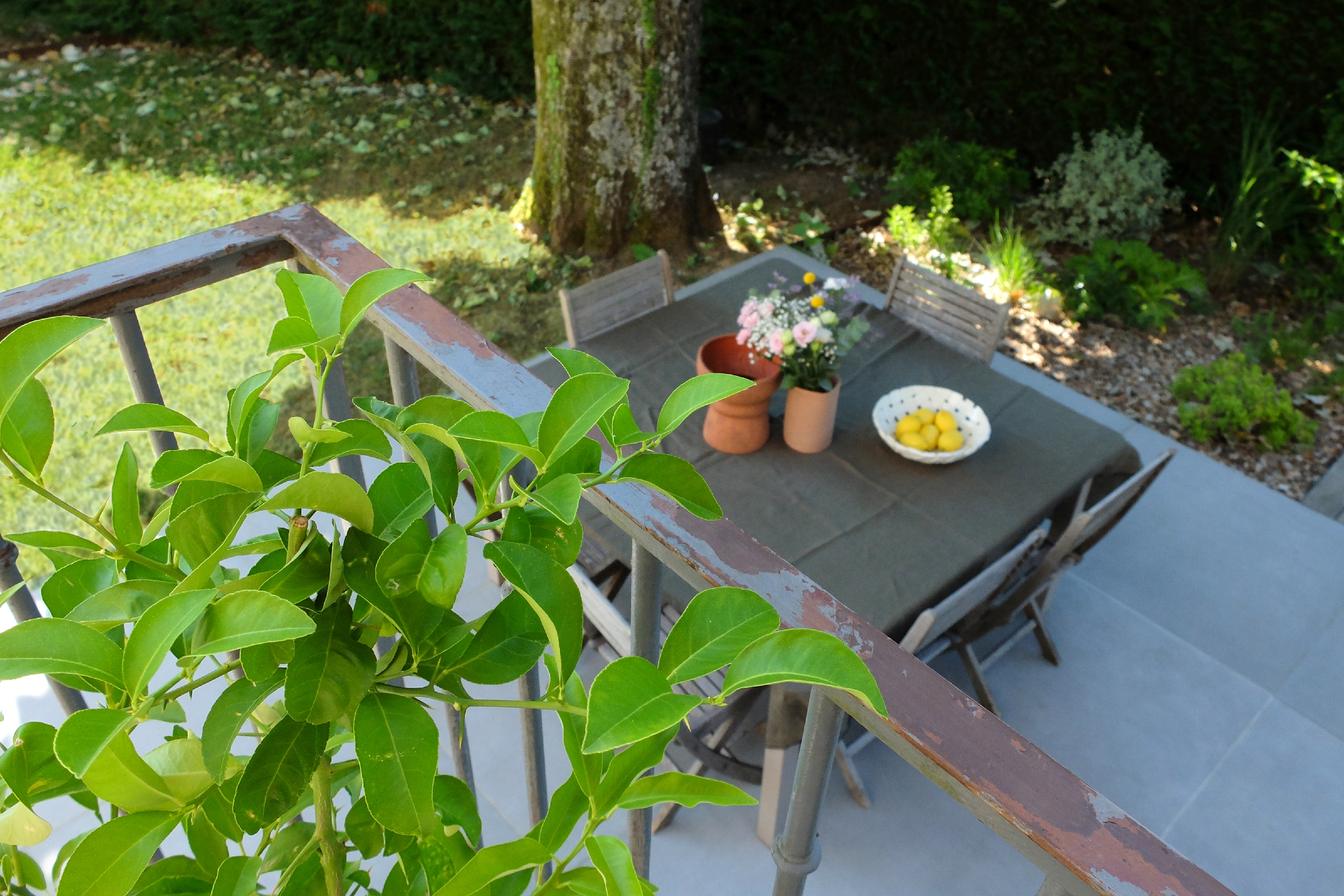 jardin-contemporain-saintdidieraumontdor-maisonsoge-6